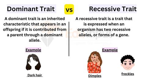 doll_and_dom|Q&A: What is the Difference between a Dominant, a。